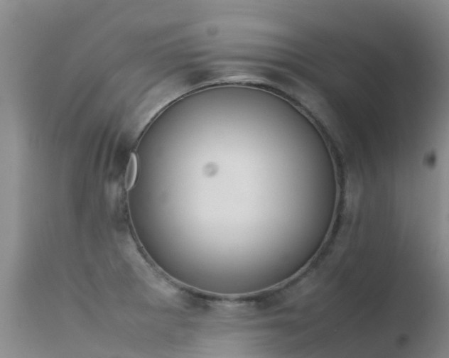 X0000112211281200908141449