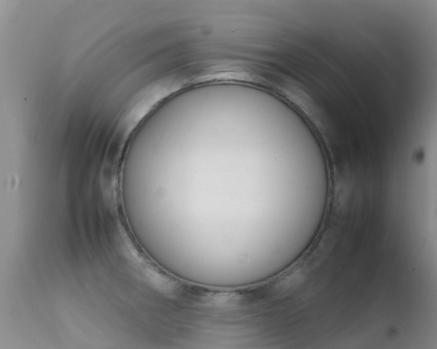 X0000112211282200908141449