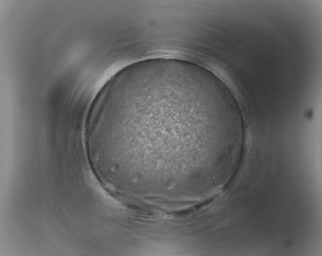 X0000112211283200908141449