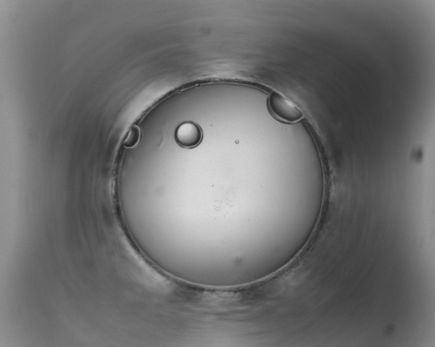 X0000112211285200908141449