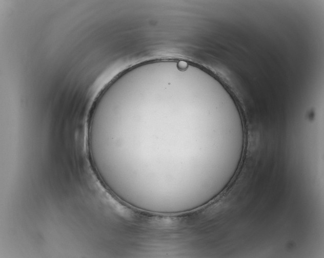 X0000112211286200908141449