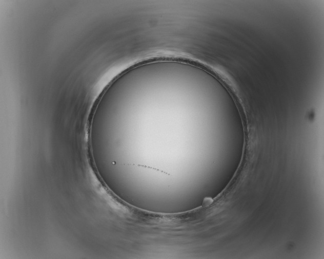 X0000112211287200908141449