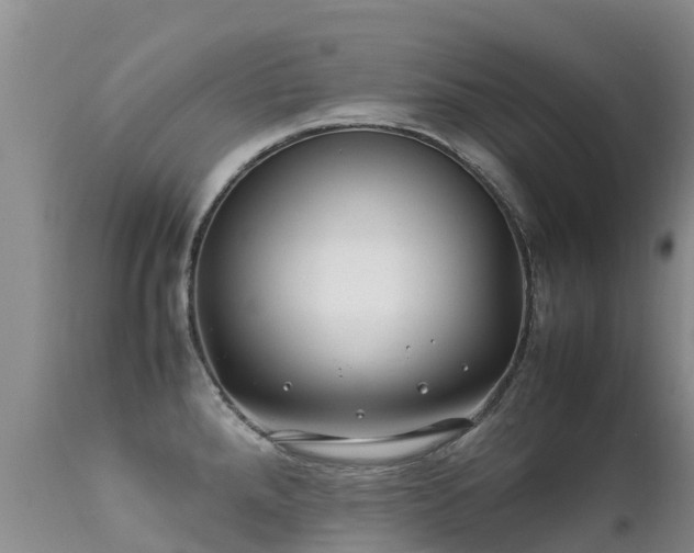 X0000112211288200908141449