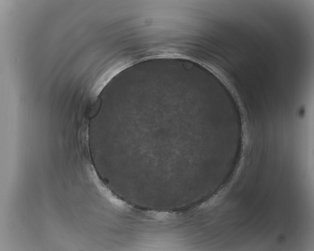 X0000112211289200908141449