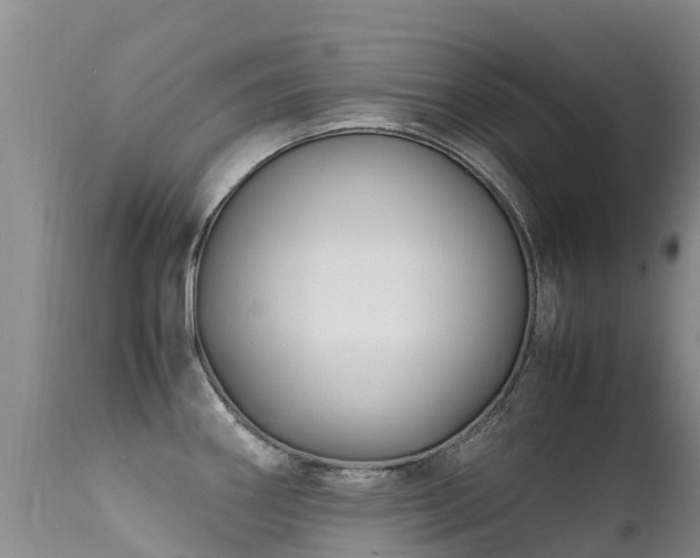 X0000112211290200908141449