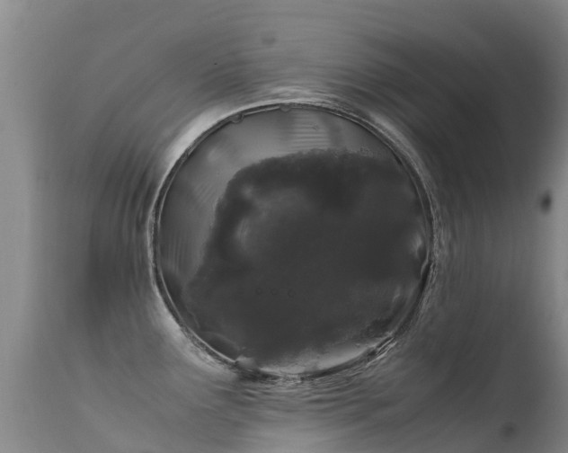 X0000112211291200908141449