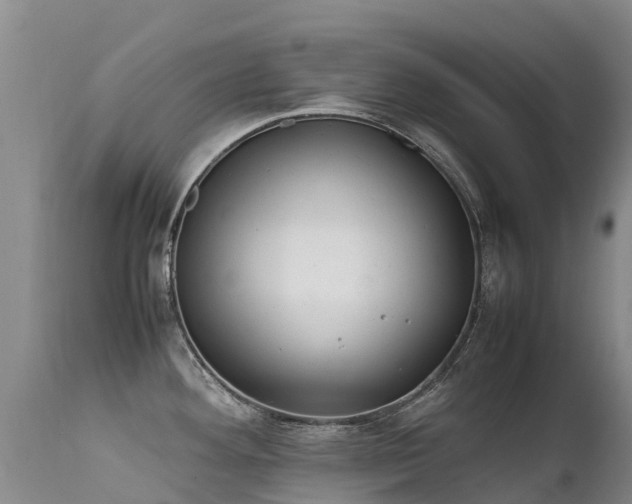 X0000112211292200908141449