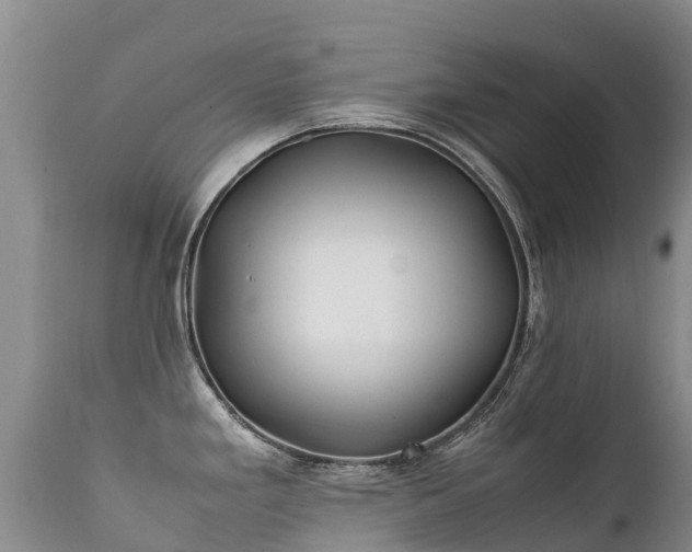 X0000112211293200908141449