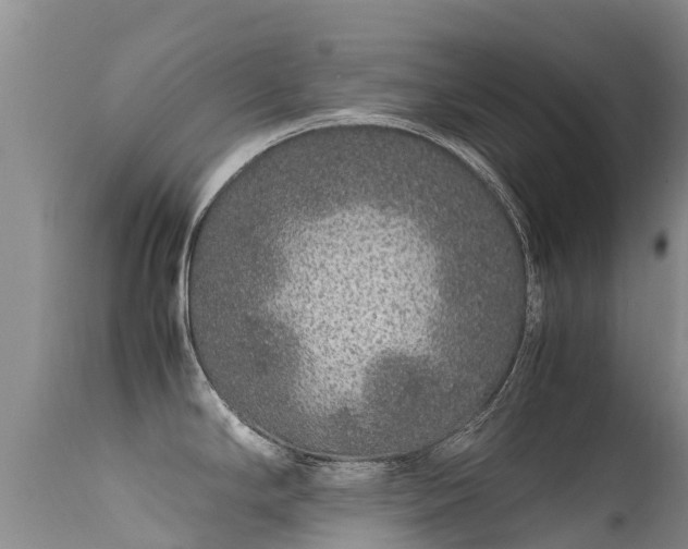 X0000112211294200908141449