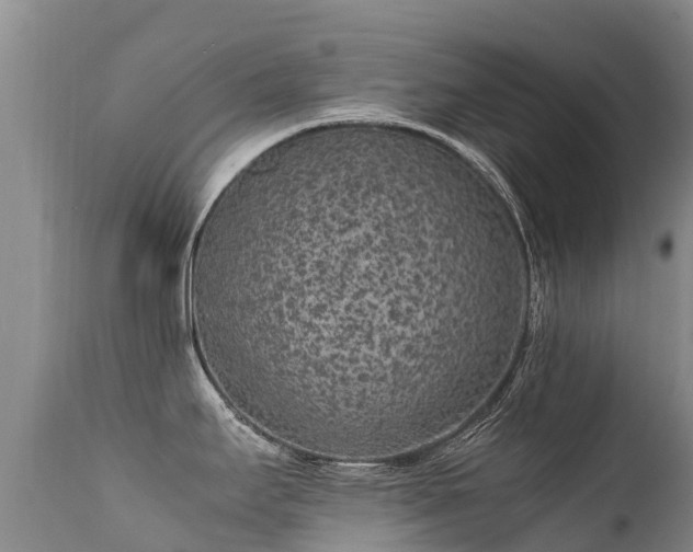 X0000112211295200908141449