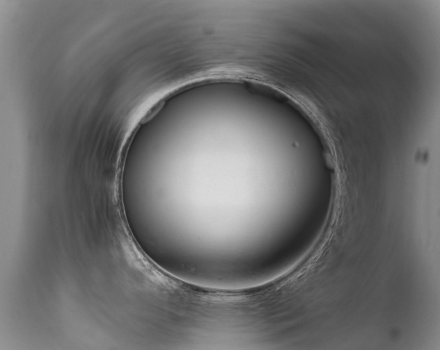 X0000112211296200908141449