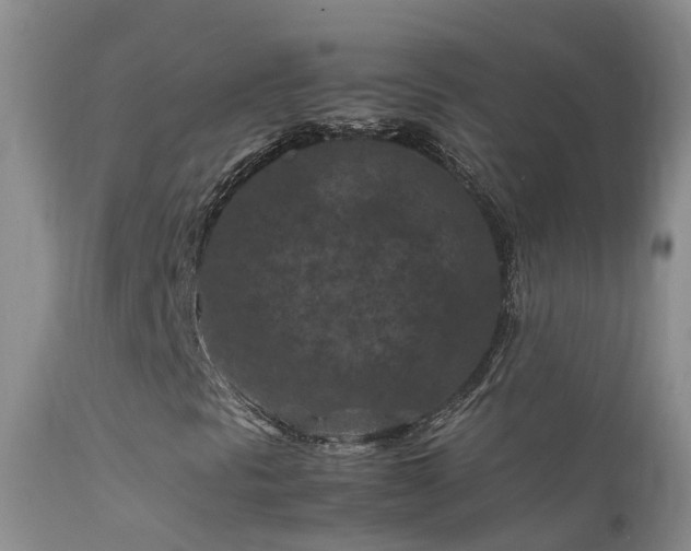 X0000112211297200908141448