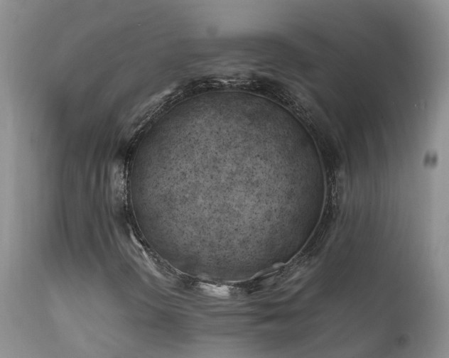 X0000112211298200908141448