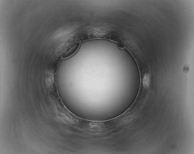 X0000112211299200908141448