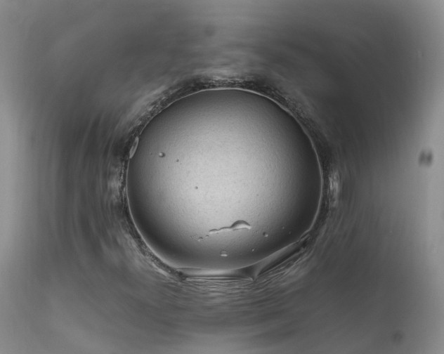 X0000112211300200908141448