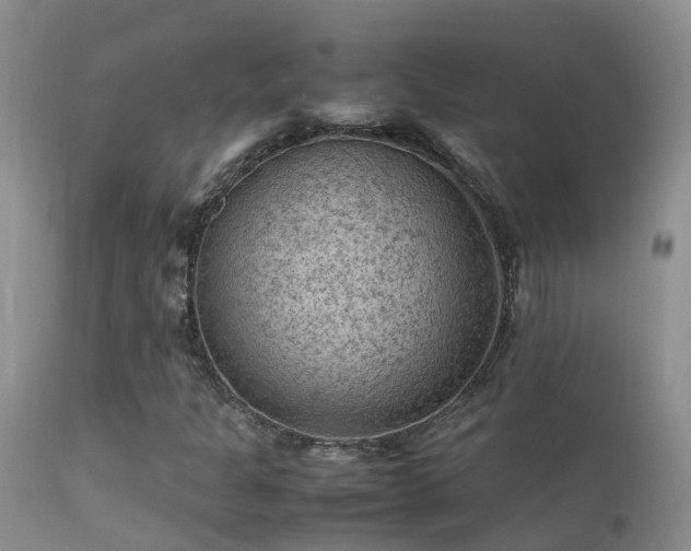 X0000112211301200908141448