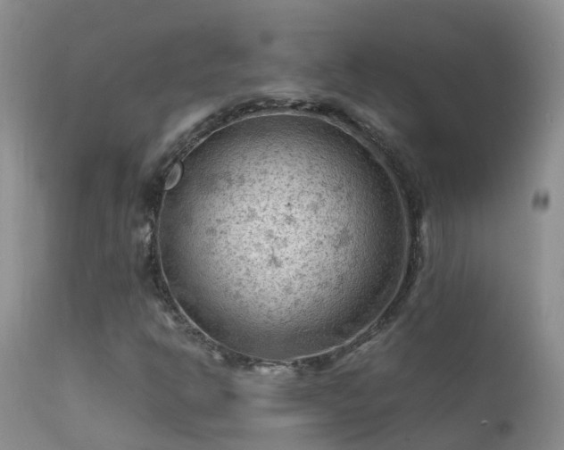 X0000112211302200908141448