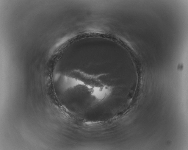 X0000112211303200908141448