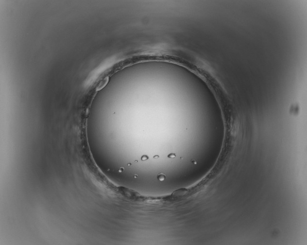 X0000112211304200908141448