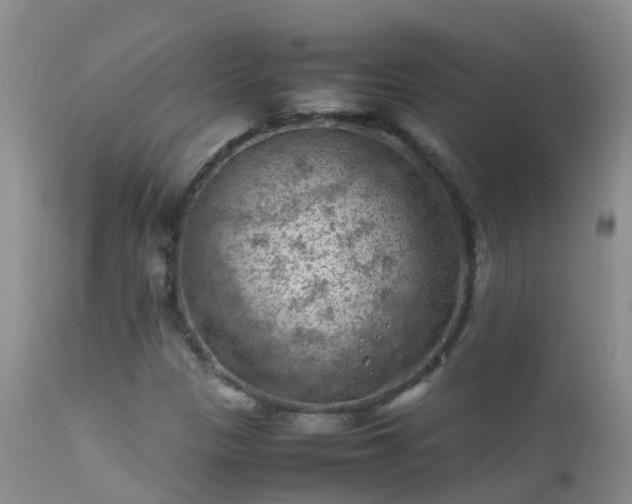 X0000112211305200908141448