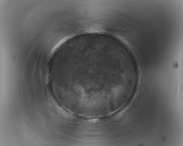 X0000112211306200908141448