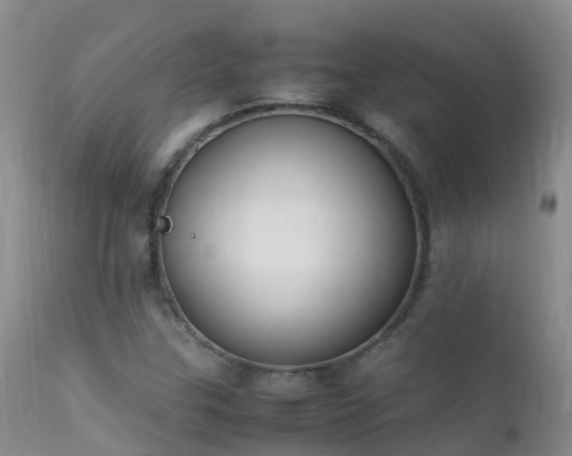 X0000112211307200908141448