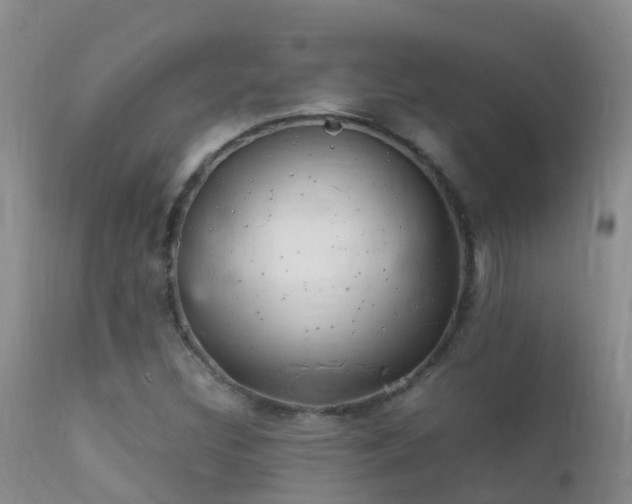 X0000112211308200908141448