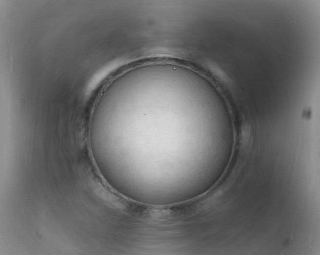 X0000112211310200908141448