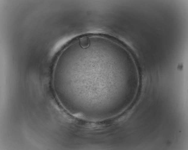 X0000112211311200908141448