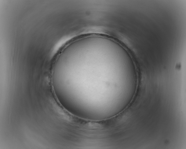 X0000112211312200908141448