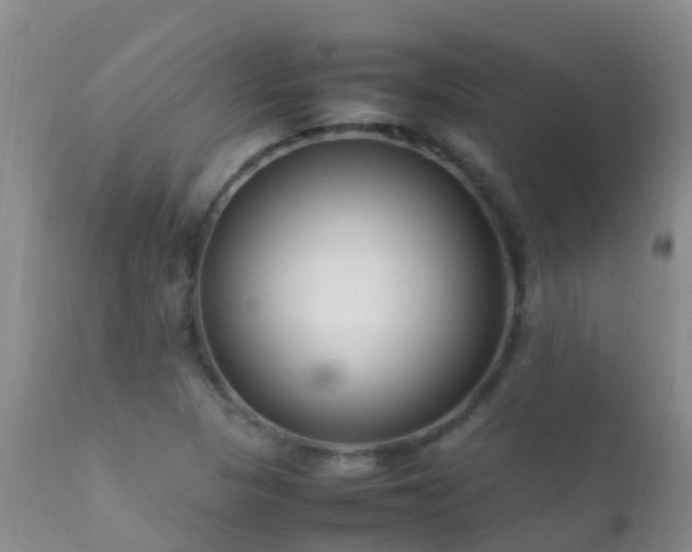 X0000112211313200908141448