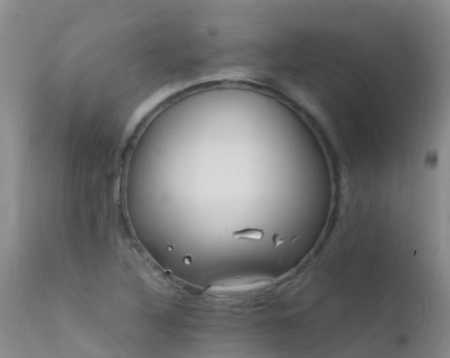 X0000112211316200908141448