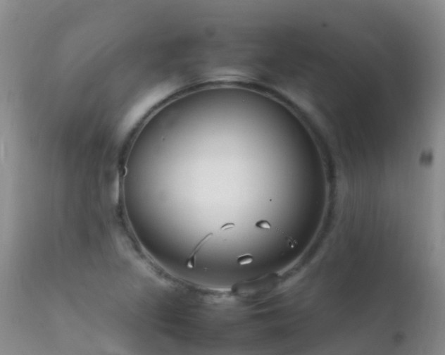 X0000112211317200908141448