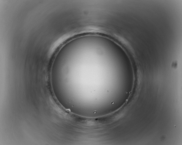 X0000112211318200908141448