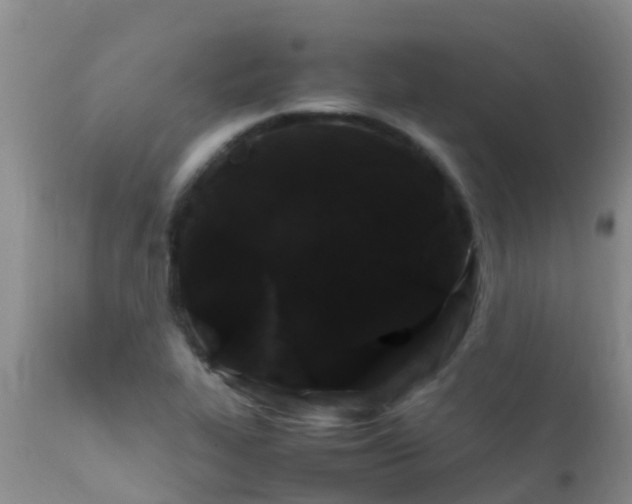 X0000112211319200908141449