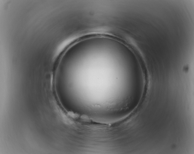 X0000112211320200908141449