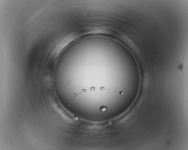 X0000112211321200908141449