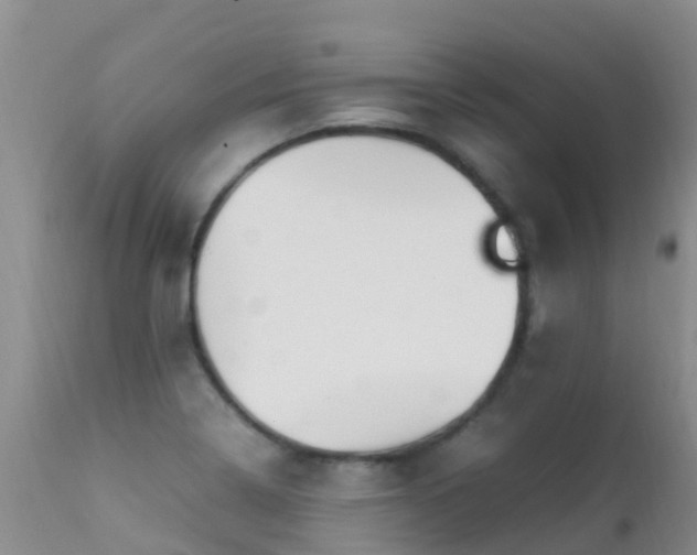 X0000112211322200908141449