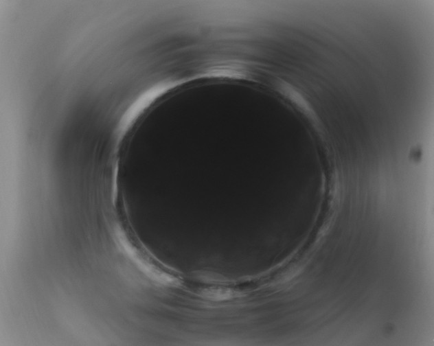 X0000112211323200908141449