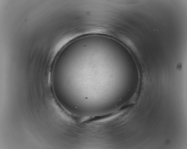 X0000112211324200908141449