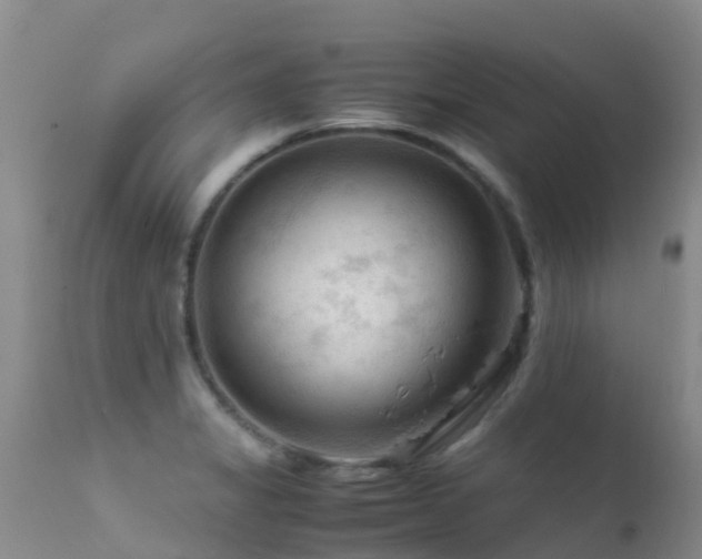 X0000112211325200908141449