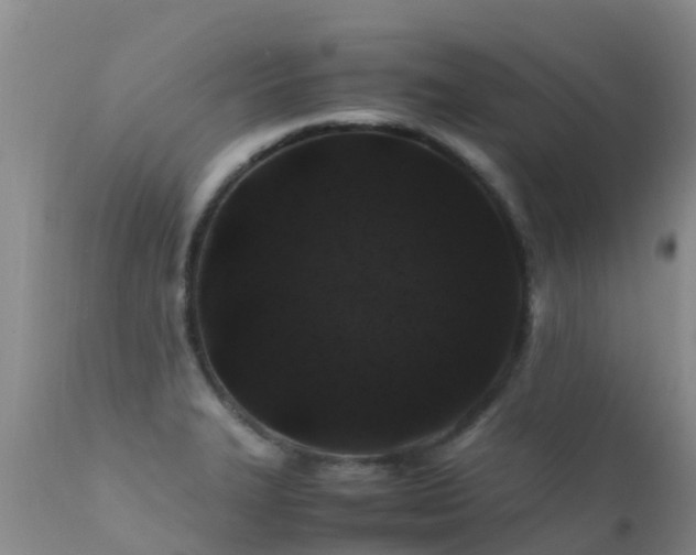 X0000112211327200908141449