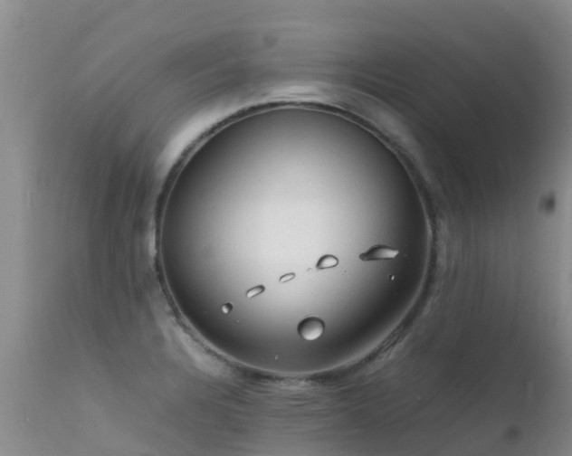 X0000112211328200908141449