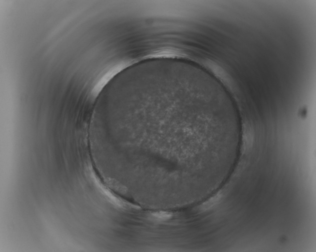 X0000112211329200908141449