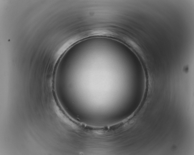 X0000112211330200908141449