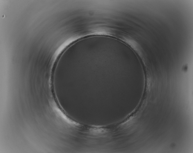 X0000112211331200908141449