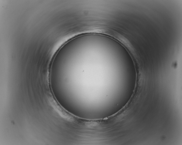 X0000112211332200908141449