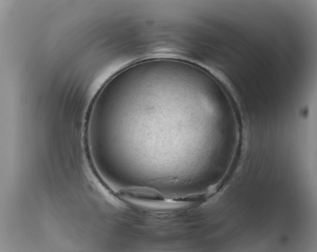 X0000112211333200908141449