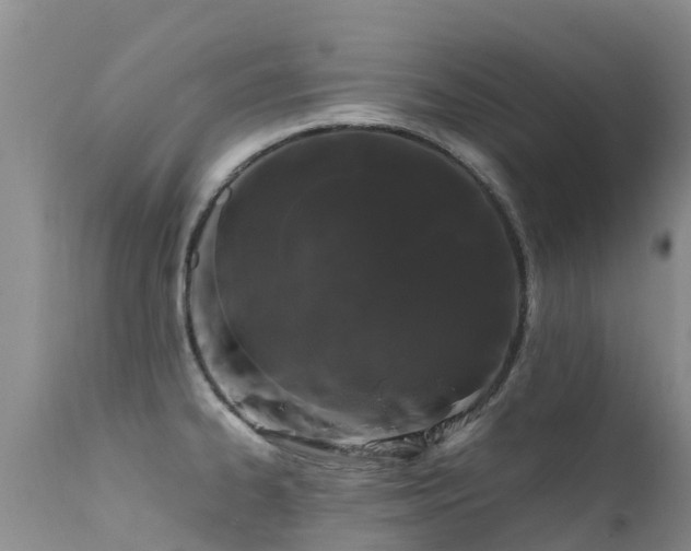 X0000112211334200908141449