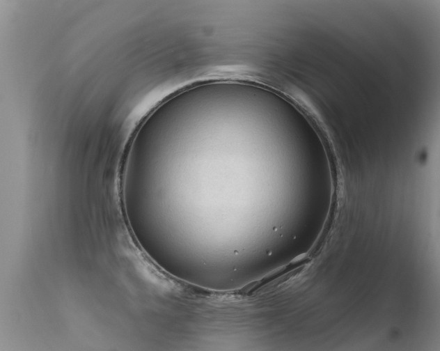 X0000112211336200908141449